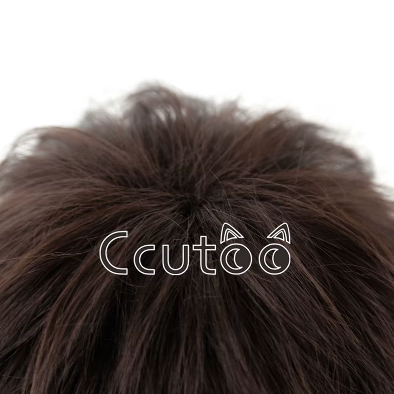 Perruque de Cosplay pour hommes