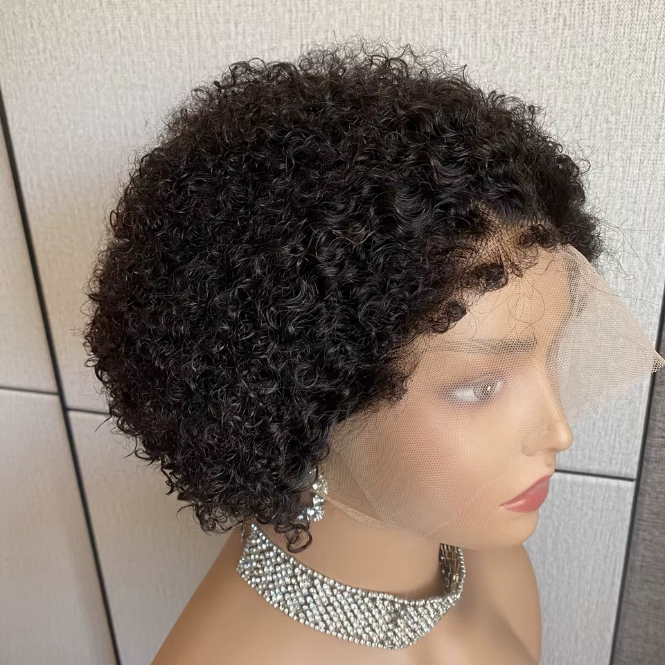 Kinky Curly Hair Wig, Natural Hairline