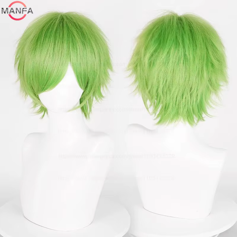 Perruque de Cosplay synthétique courte et lisse de 30cm