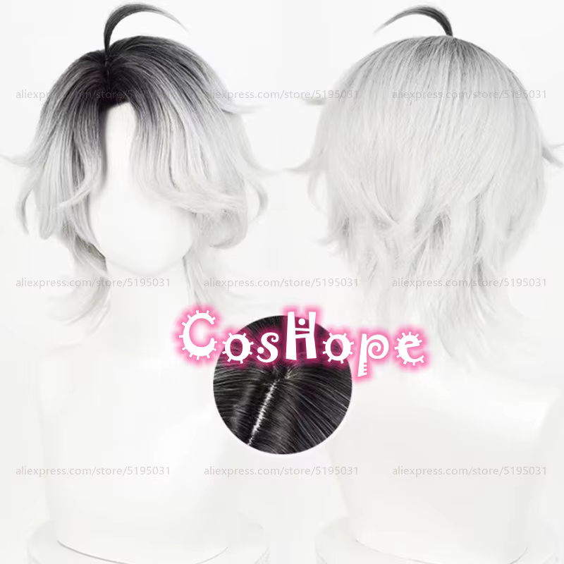 Patient Emil Cosplay perruque 30 cm court noir argent blanc dégradé