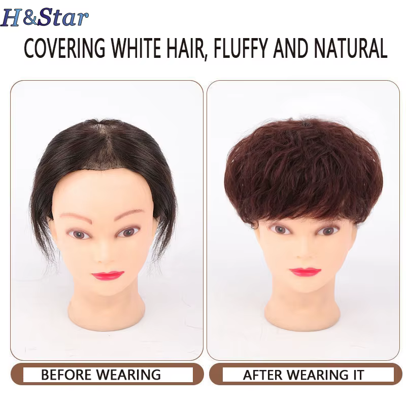 H & STAR-Extension Capillaire Synthétique à Clips pour Femme