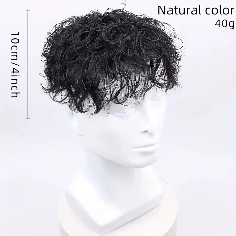 Perruque courte bouclée pour hommes