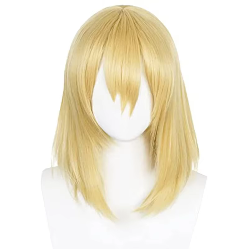 Perruque Bob pour femmes et hommes