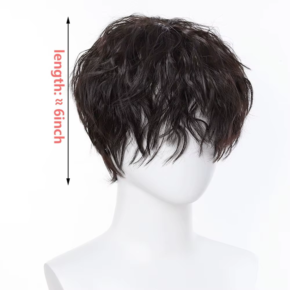  Perruque synthétique frisée crépue pour homme