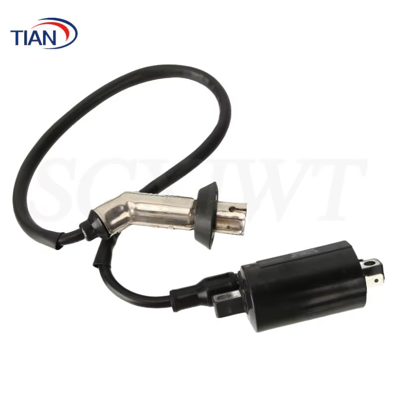 Bobine d'allumage EFI GY6 conçue pour les systèmes à pédale EFI 169cc 170cc, compatible avec les motos Jonway GTX 250 EFI et 200 Tall