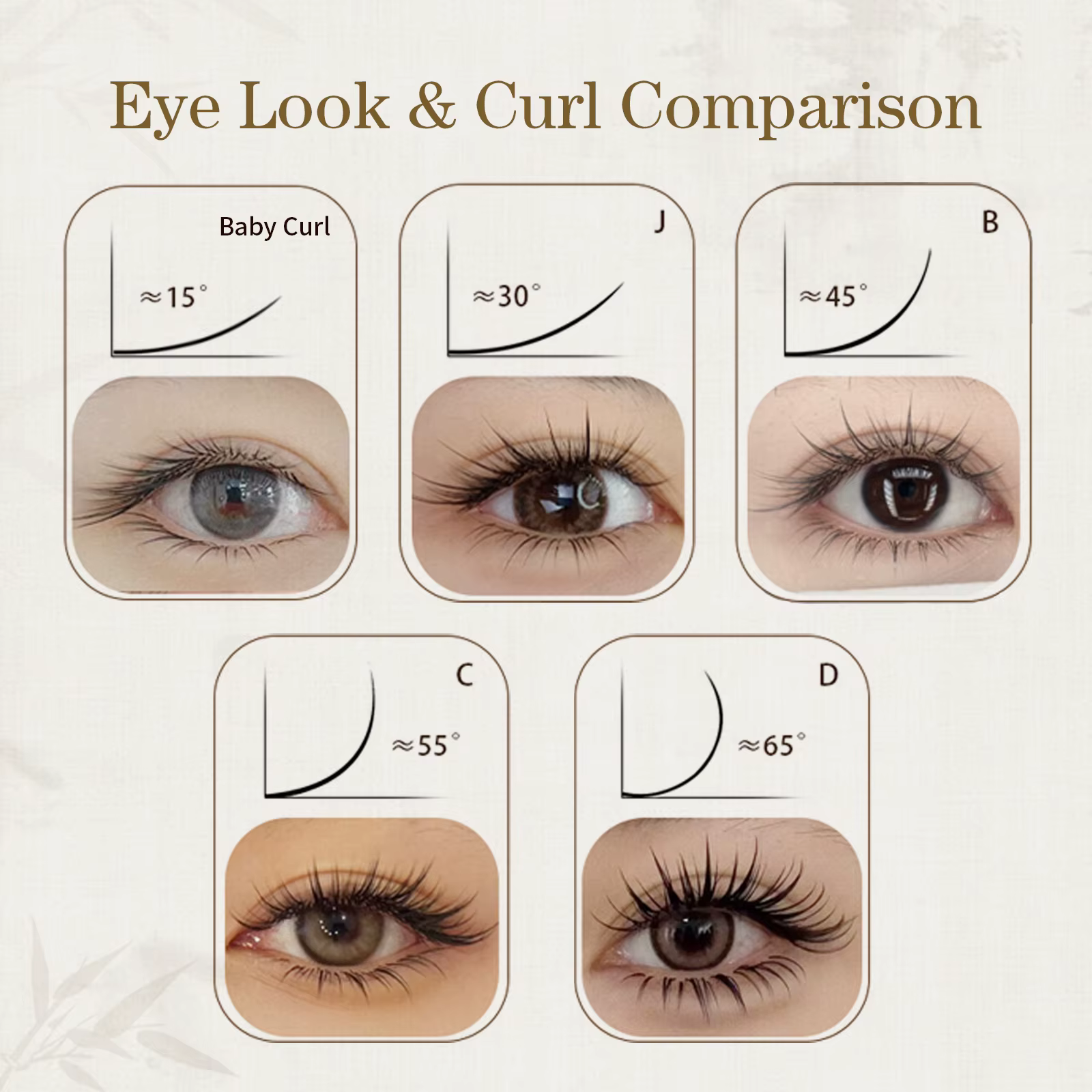 Cils en éventail préfabriqués Honey Eyelash J B C D Camellia