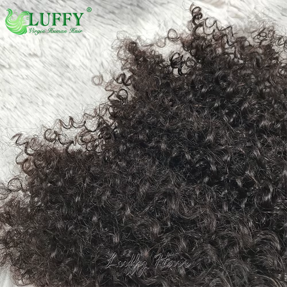 Extensions de cheveux humains bouclés crépus à bandes adhésives