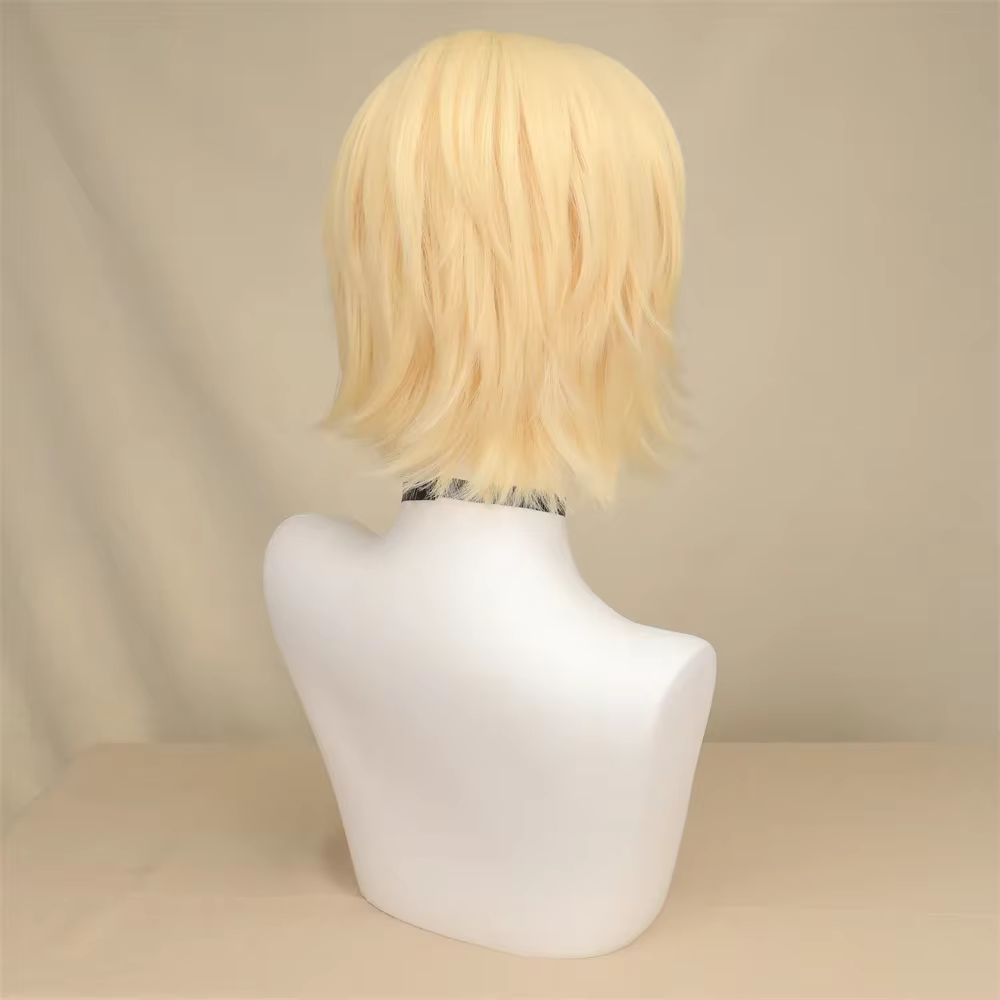 QQXCAIW – perruque de Cosplay synthétique courte et lisse pour hommes et femmes