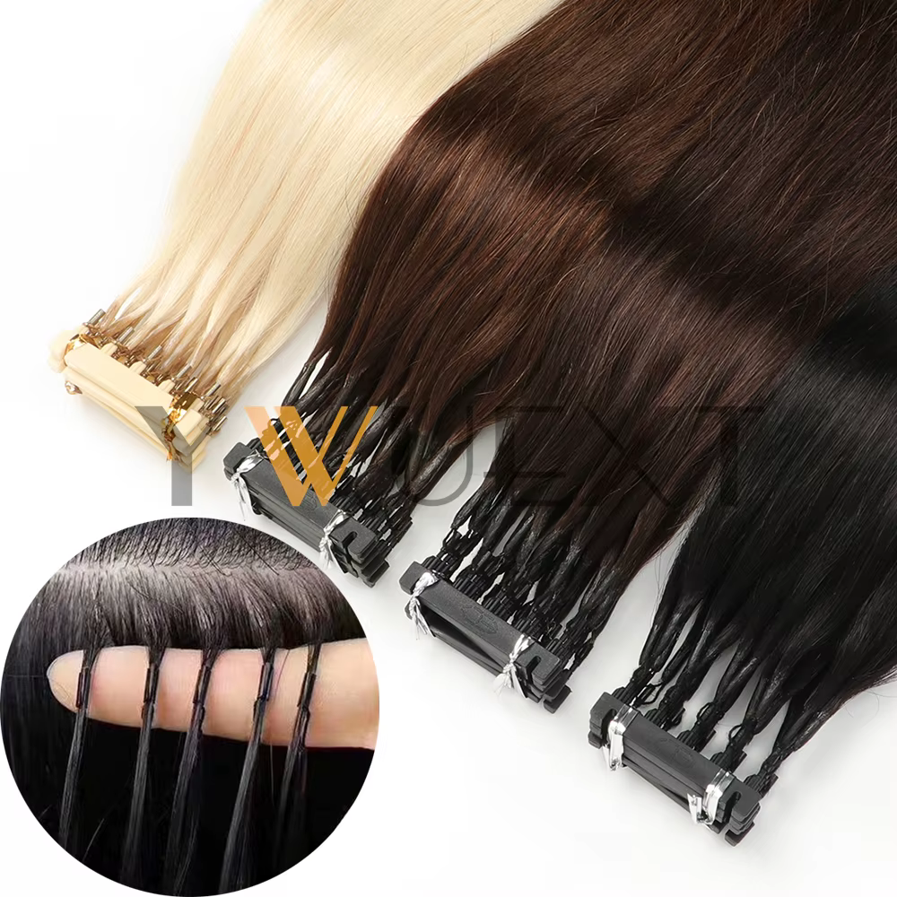 Extensions de cheveux humains 6D-2