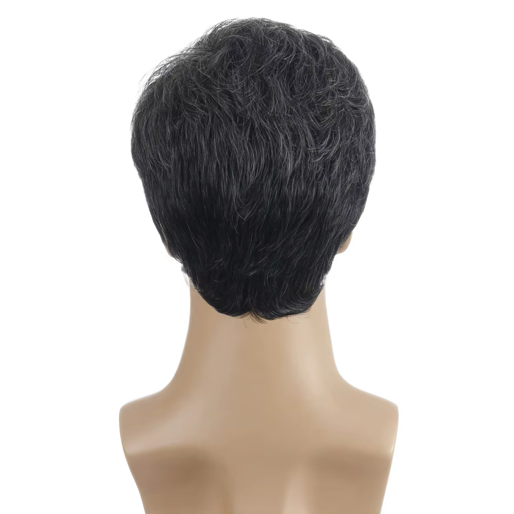 Perruque synthétique courte pour homme