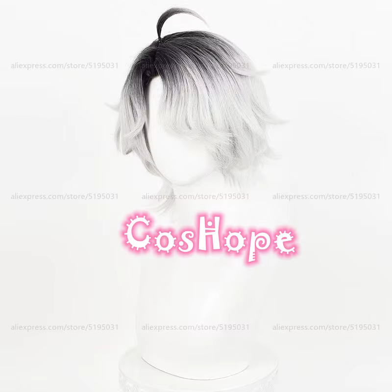 Patient Emil Cosplay perruque 30 cm court noir argent blanc dégradé