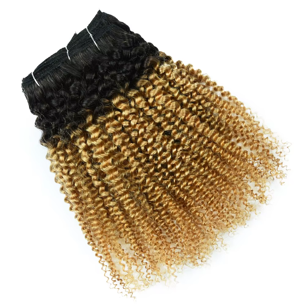 T1B 27-Extension de Cheveux Humains Crépus Afro
