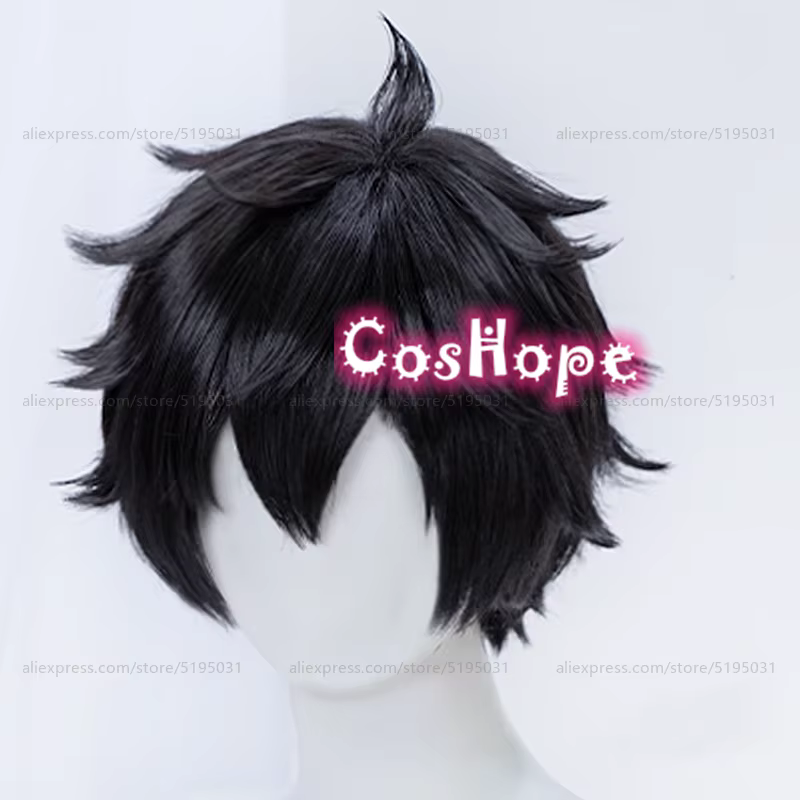 Dan Heng Cosplay perruque 30 cm perruque courte perruque noire Cosplay Anime Cosplay perruques résistant à la chaleur perruques synthétiques