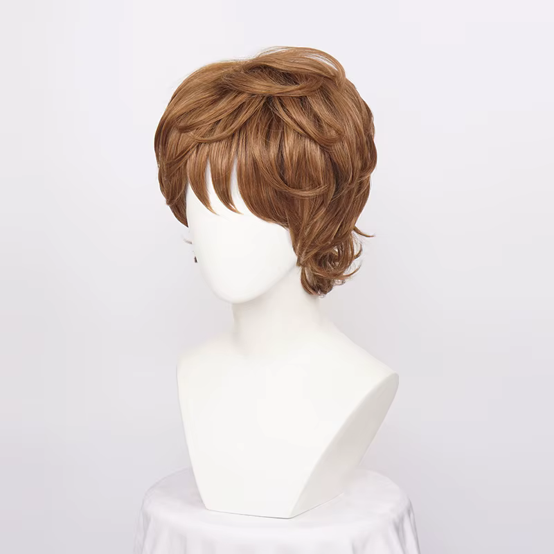 Perruques Cosplay synthétiques courtes et bouclées pour hommes