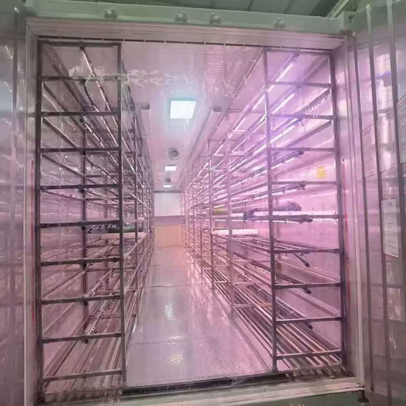 Conteneur de culture de champignons pour l'élevage de mycètes, avec dimensions et caractéristiques personnalisées pour la production commerciale