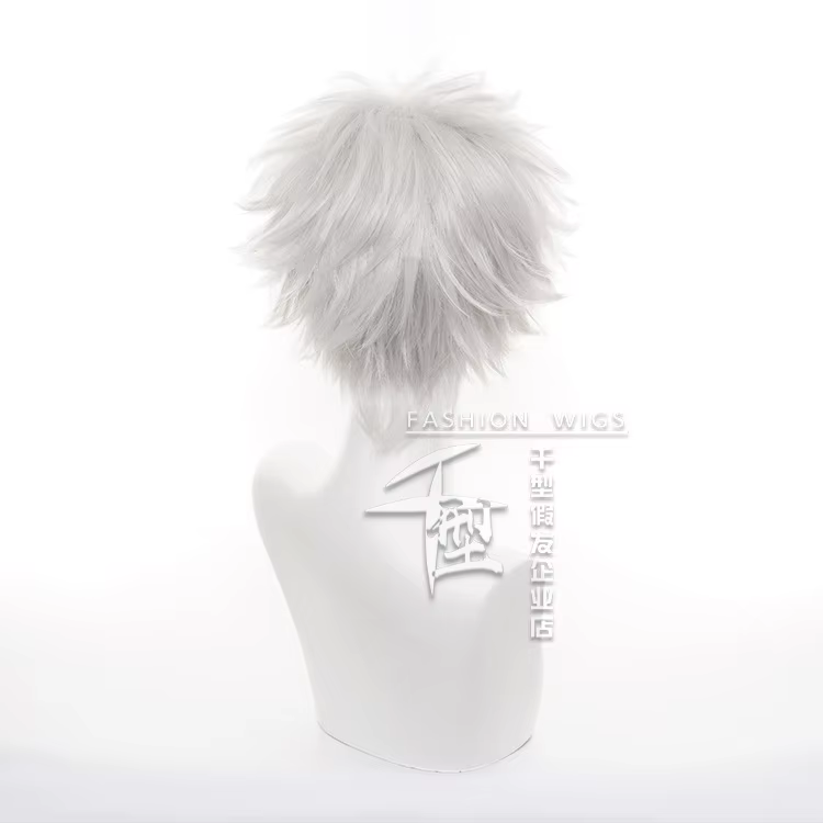 Hunter x Hunter Killua Zoldyck perruque courte hommes perruque Cosplay argent Shaggy couches résistant à la chaleur synthétique cheveux perruques
