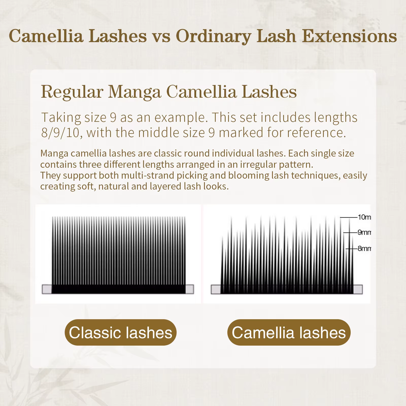 Cils en éventail préfabriqués Honey Eyelash J B C D Camellia