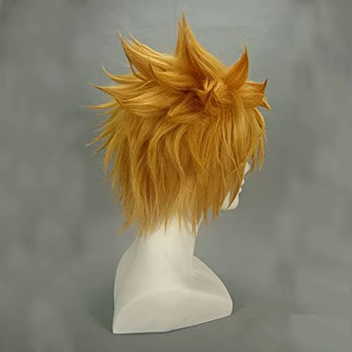 Kingdom Hearts Roxas perruque Ventus Cosplay