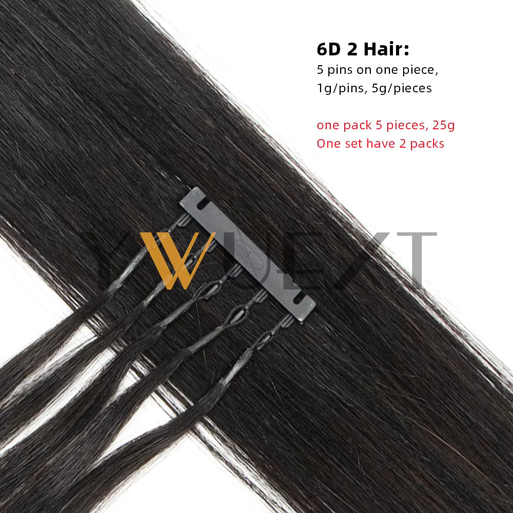 Extensions de cheveux humains 6D-2