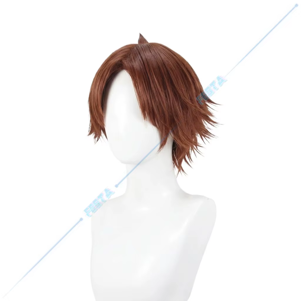 Perruque de Cosplay Kiyotaka Ayanokouji de Classroom of The Elite