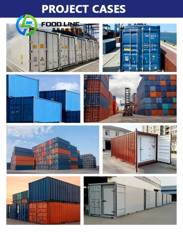 Conteneur frigorifique industriel de 40 pieds pour aliments surgelés, conteneurs modulaires combinés, volume de stockage ajustable en fonction de la production d'usine