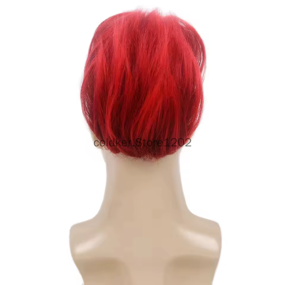 Perruque synthétique Punk Mohawk pour hommes