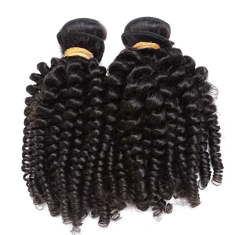 Perruque Afro Kinky Curly Spring Roll