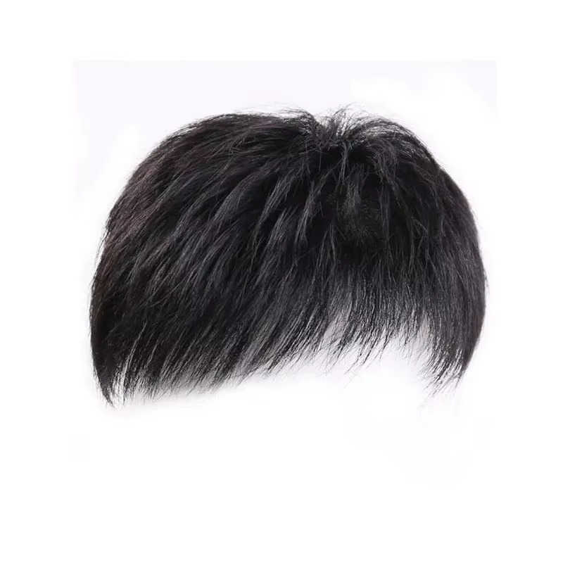 Perruque synthétique pour hommes avec cheveux courts