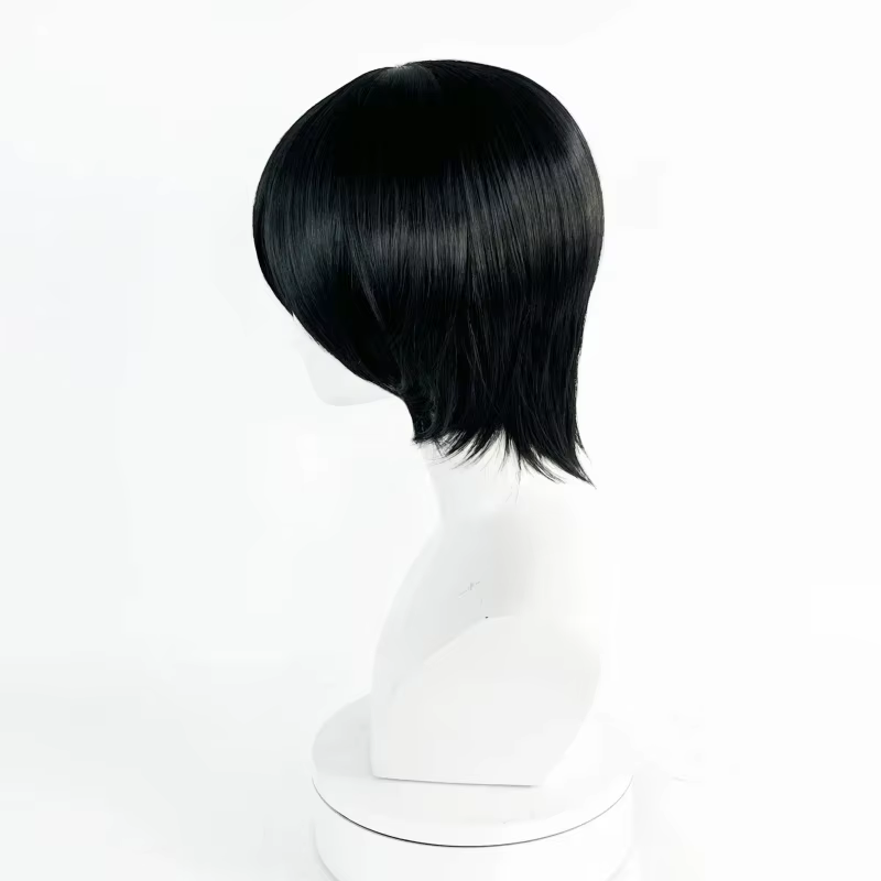 Perruque de Cosplay synthétique noire unisexe pour adultes