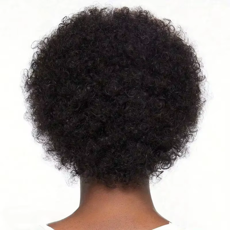 Perruque Afro crépue bouclée pour femmes