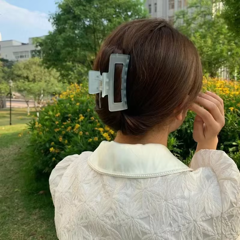Pince à cheveux en plastique Transparent pour femmes et filles