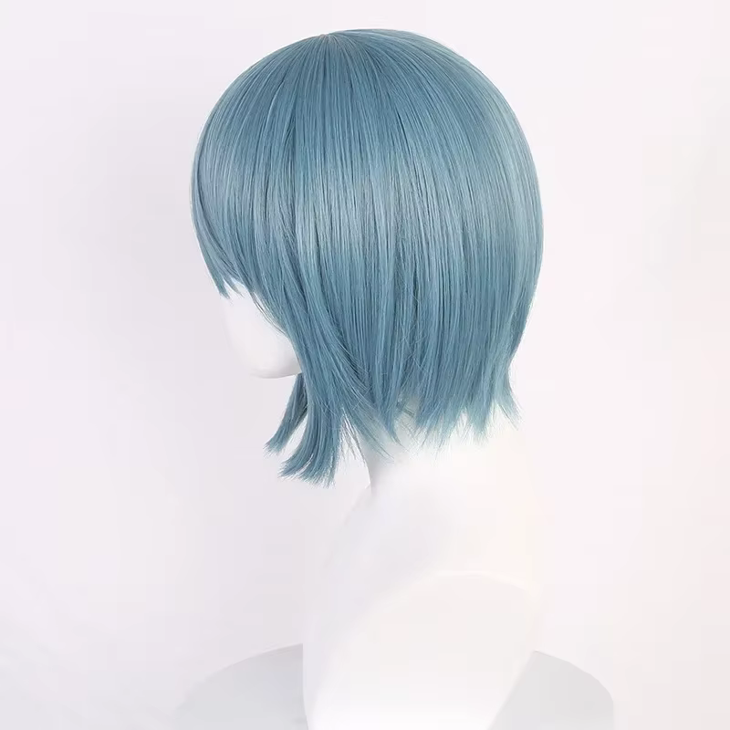 Perruque de Cosplay Anime Miki Sayaka