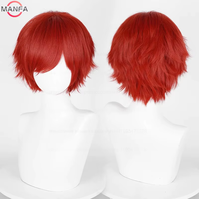 Perruque de Cosplay synthétique courte et lisse de 30cm